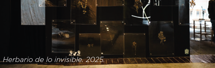 Herbario Invisible